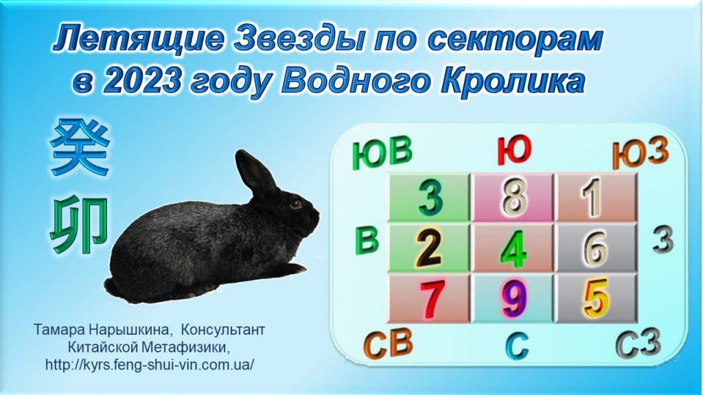 Летящие Звезды 2023 года