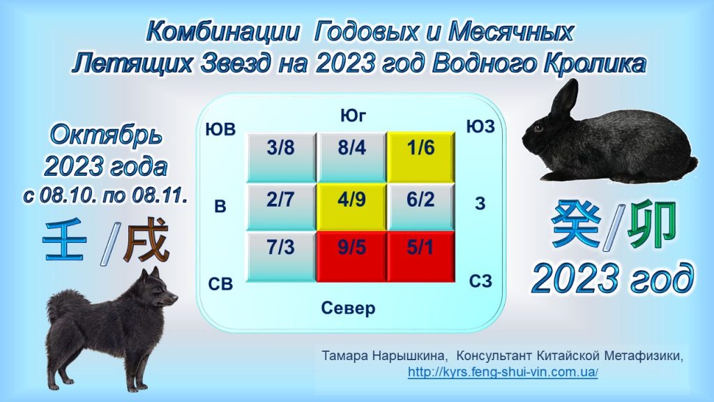 Комбинации годовых и месячных Летящих Звезд на 2023 год