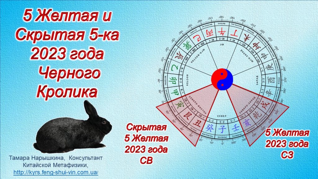 Звезда 5 Желтая в 2023 году
