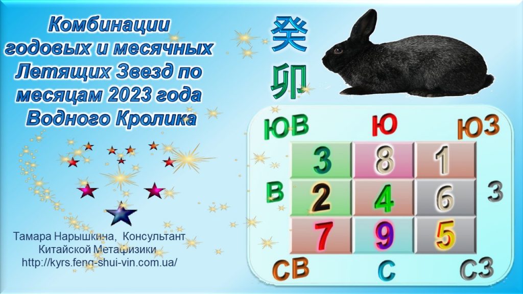 Комбинации годовых и месячных Летящих Звезд на 2023 год