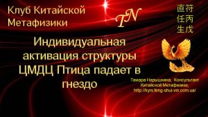 Активация Птица падает в гнездо Ци Мэнь Дунь Цзя
