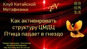 Как активировать структуру ЦМДЦ Птица падает в гнездо