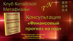 Финансовый прогноз на год