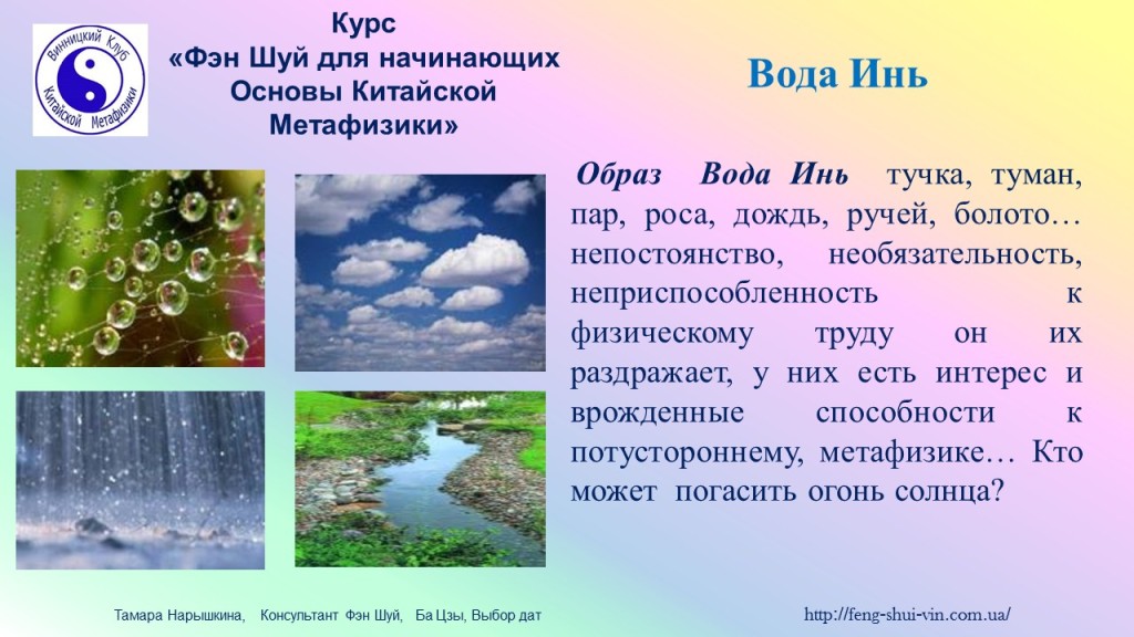 5 Элементов У -Син категории ИНЬ