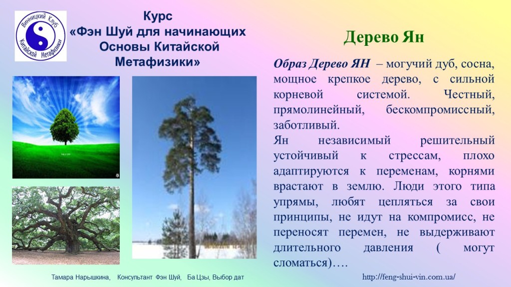 5 элементов У-Син категории ЯН